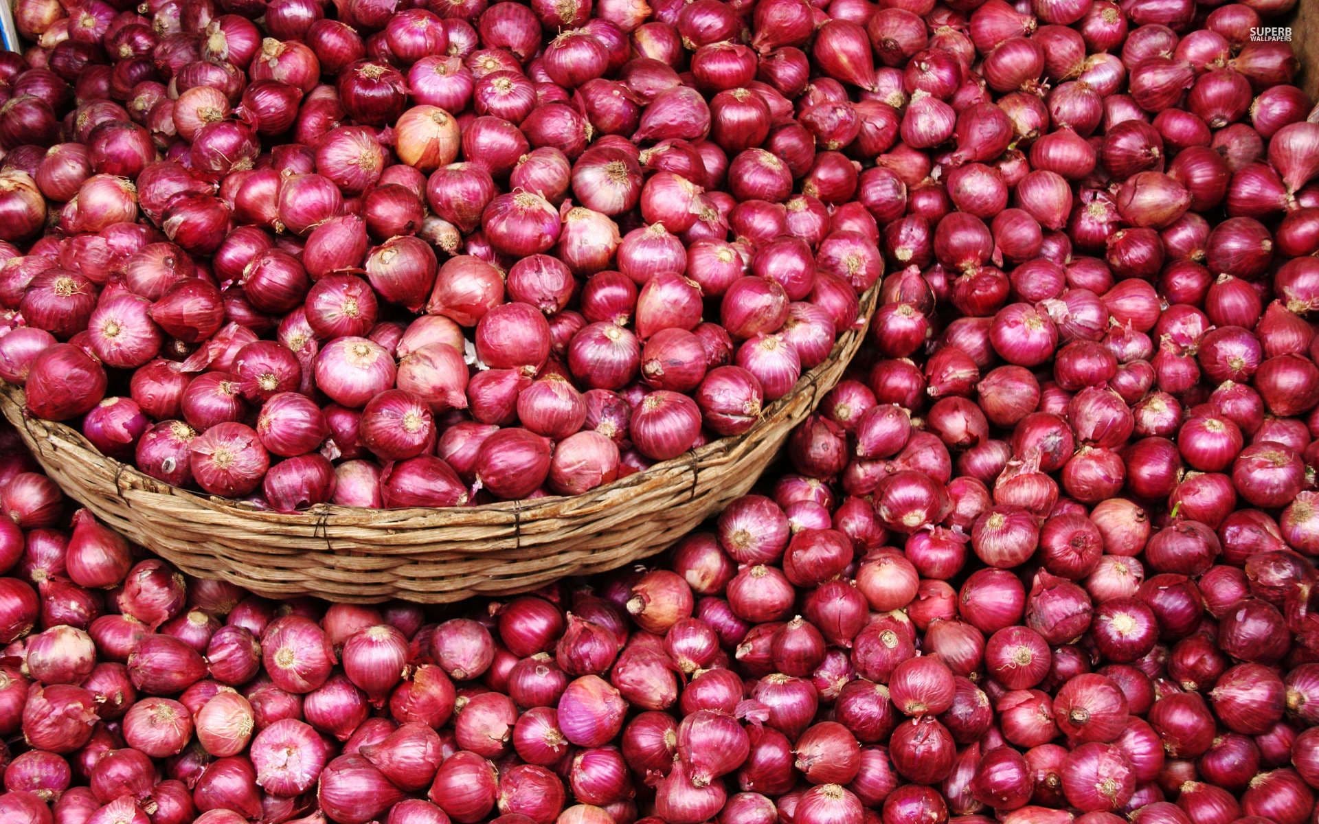 Red Onion (Nasik)